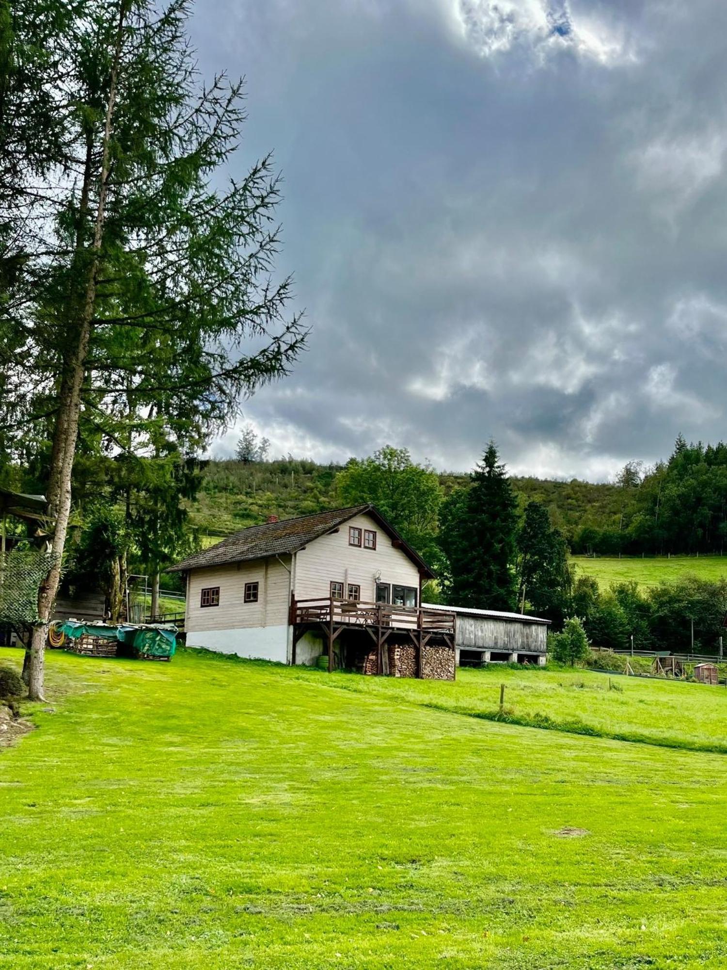 Winterspelt Blockhaus Ourtalヴィラ エクステリア 写真